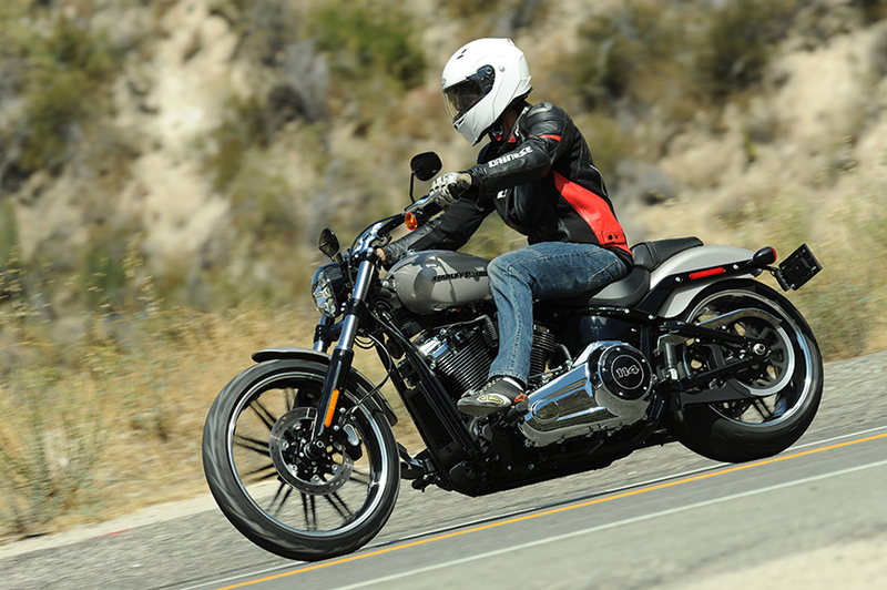 Illustration for article titled The Idiot's Guide To All Eight New Harley-Davidson Cruisers